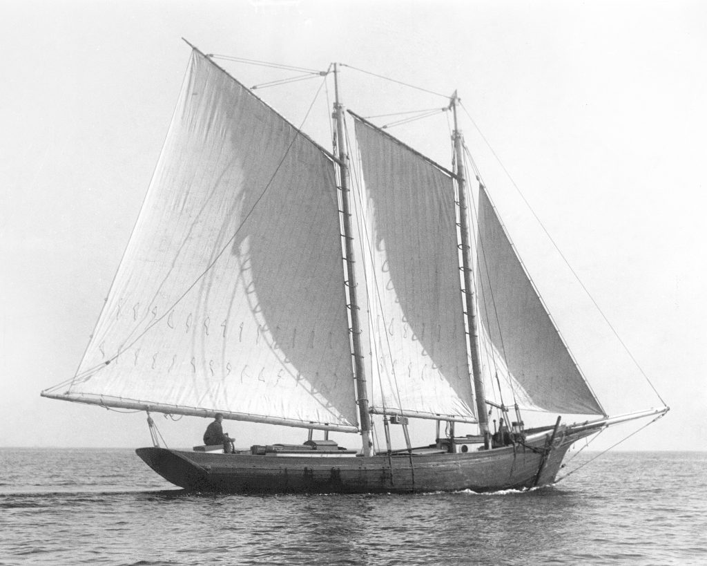 Emma Under Sail